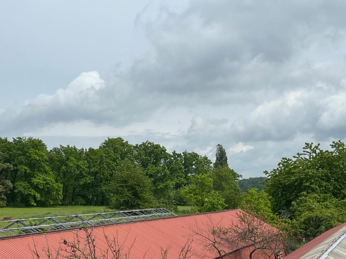 Appartamento Monstera I Kolín Esterno foto